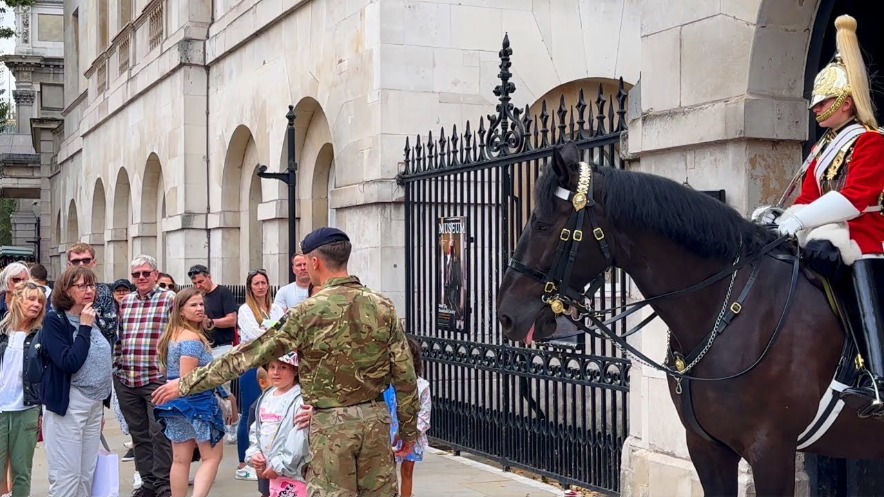 DON'T TOUCH IT! MOVE NOW or The Horse will Move you