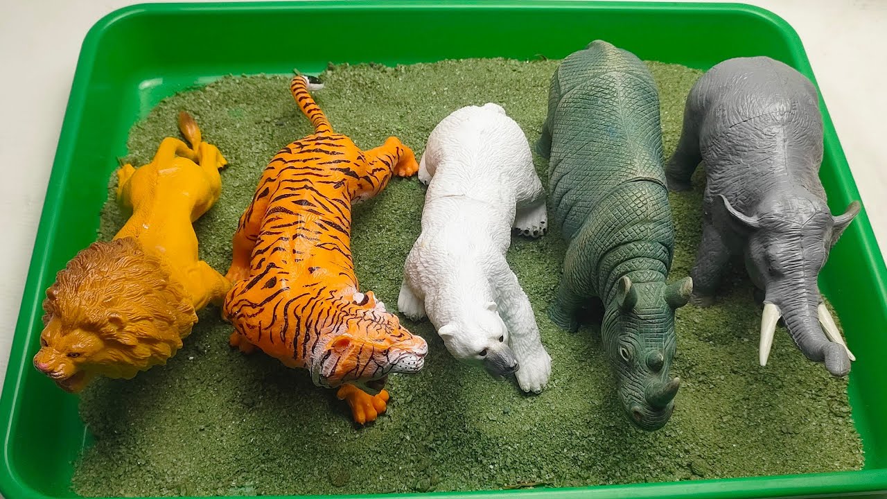 Relaxing Wild Animal Toys ASMR 🦁 | Satisfying Green Sand Sensory Play