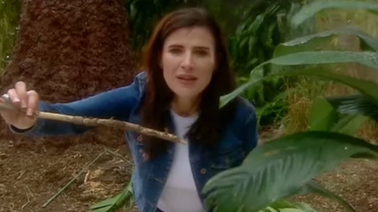 Extreme Survival | Alistair McGowan's Big Impression | BBC Comedy Greats