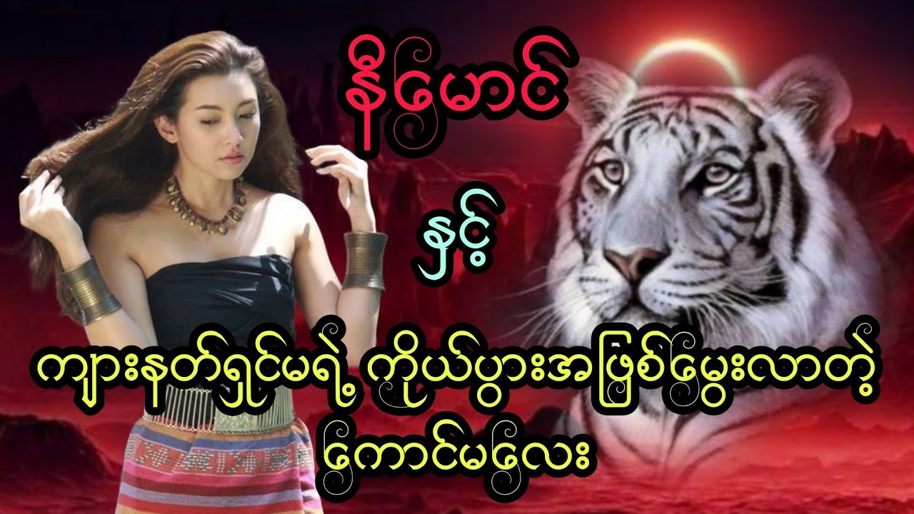 နီမောင် နှင့် ကျားနတ်ရှင်မရဲ့ ကိုယ်ပွားအဖြစ်မွေးလာတဲ့ ကောင်မလေး (အစအဆုံး)