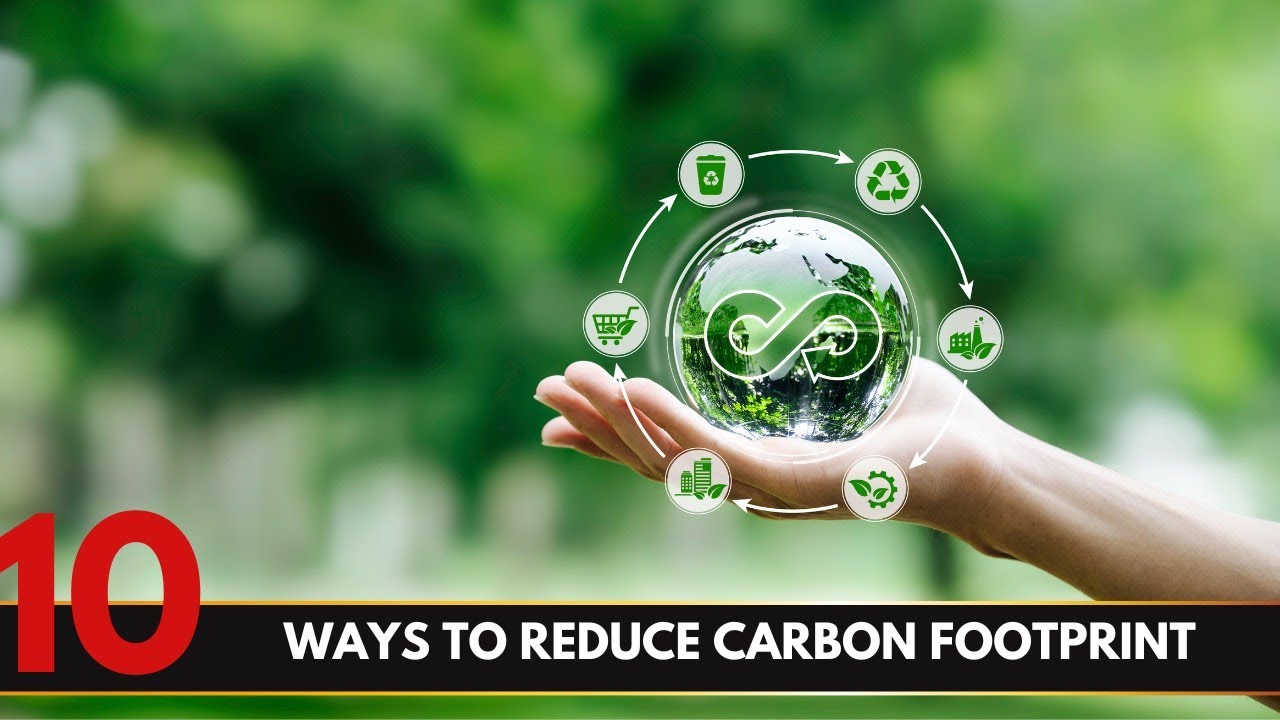 Top 10 Ways to Reduce Your Carbon Footprint