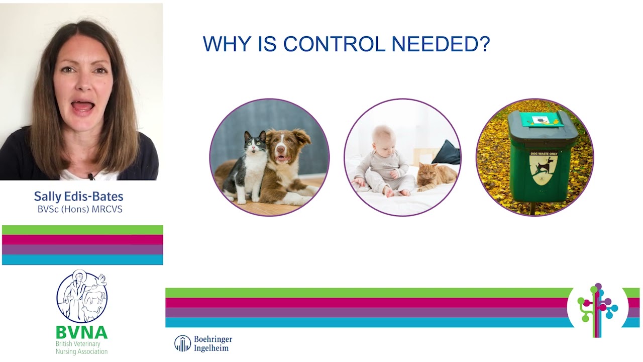 Rotten Roundworms - Parasite Webinar Series - Sally Edis-Bates MRCVS