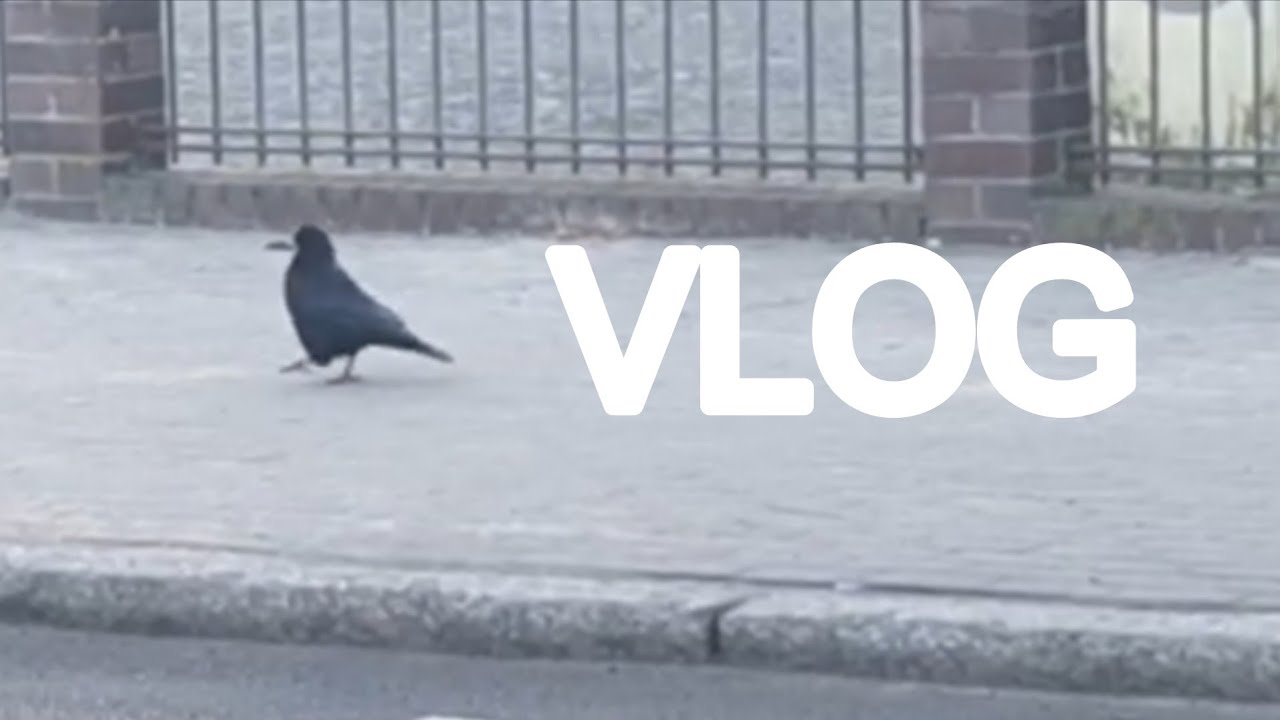 ZWYKŁY VLOG 🤯 ZALICZENIA, RYSUNEK, MALARSTWO