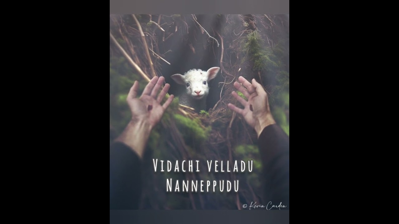 Vandanam Yesayya | వందనం యేసయ్యా | Telugu Christian Worship Video Song| @RedSeaFilms| Kevin Carden