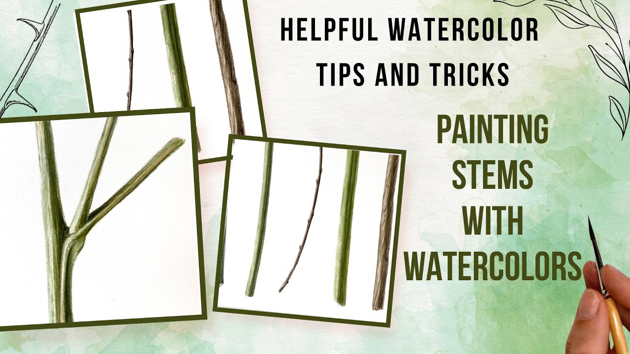 Helpful Watercolor Tips and Tricks 🔴 Lesson 4 🔴 Painting Stems with Watercolors