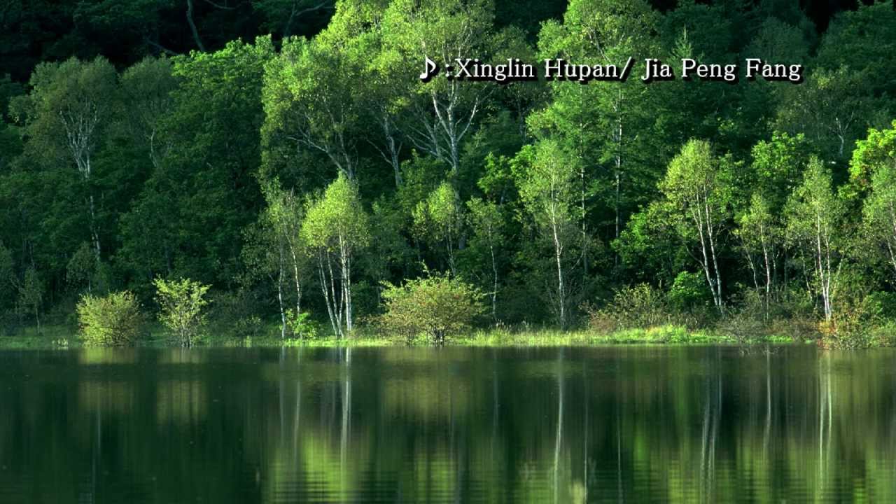 Xinglin Hupan - Jia Peng Fang