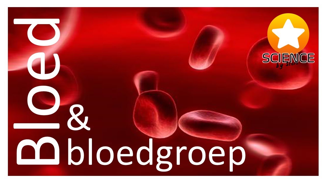 De bloedgroep [ Immunologie ]