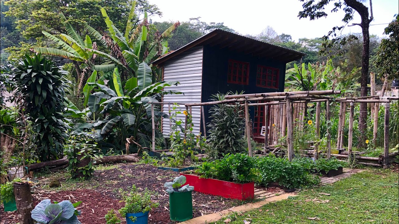 TOUR por mi JARDÍN y HUERTO ORGÁNICO