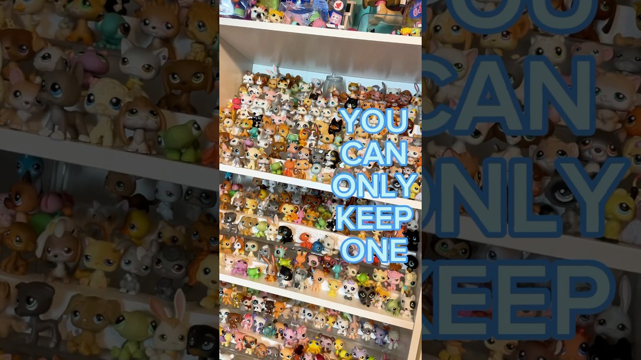 WHICH LPS WOULD YOU KEEP? Littlest Pet Shop Collection