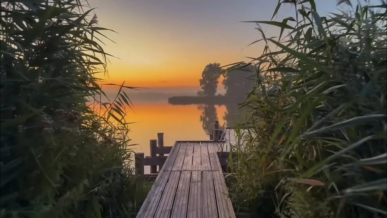 Een Zomerse Dag ☀️