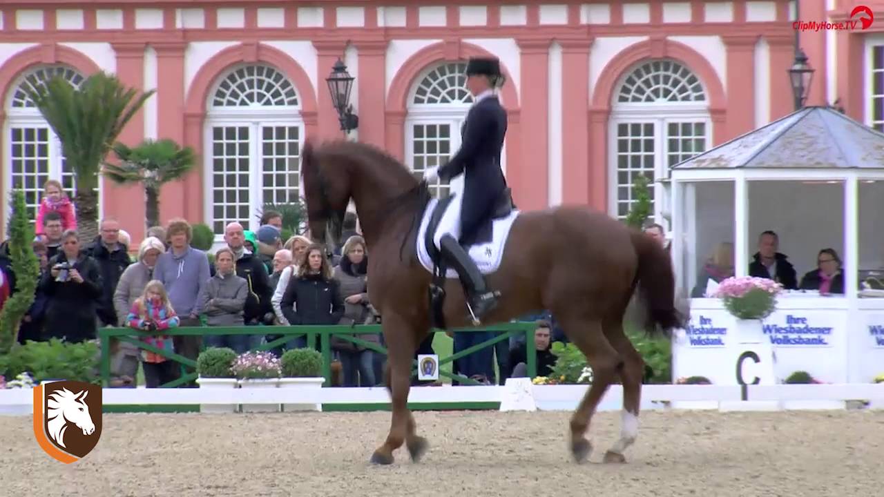 WDM Wiesbaden 2016 #3 in CDI 5* WDM VIAN GROUP GPS Fabienne Lütkemeier & D’Agostino FRH