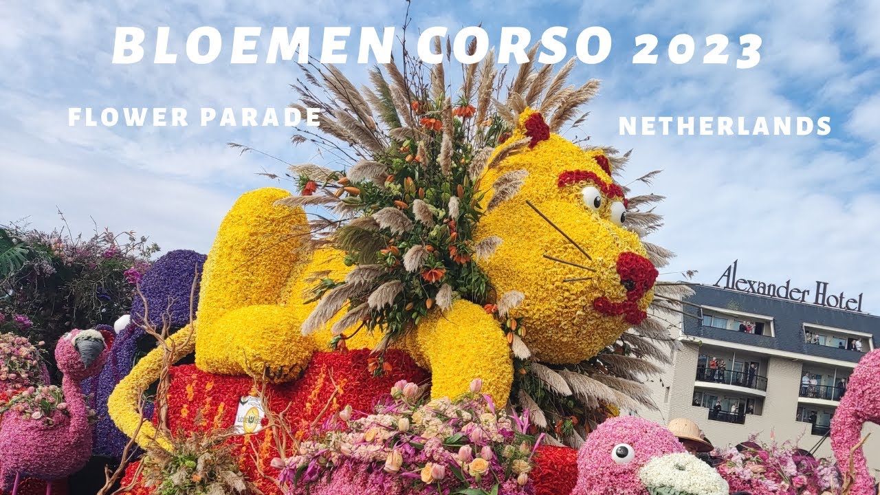Dutch flower parade 2023 | Bloemencorso  Bollenstreek #bollenstreek #bloemen  #tulips #keukenhof