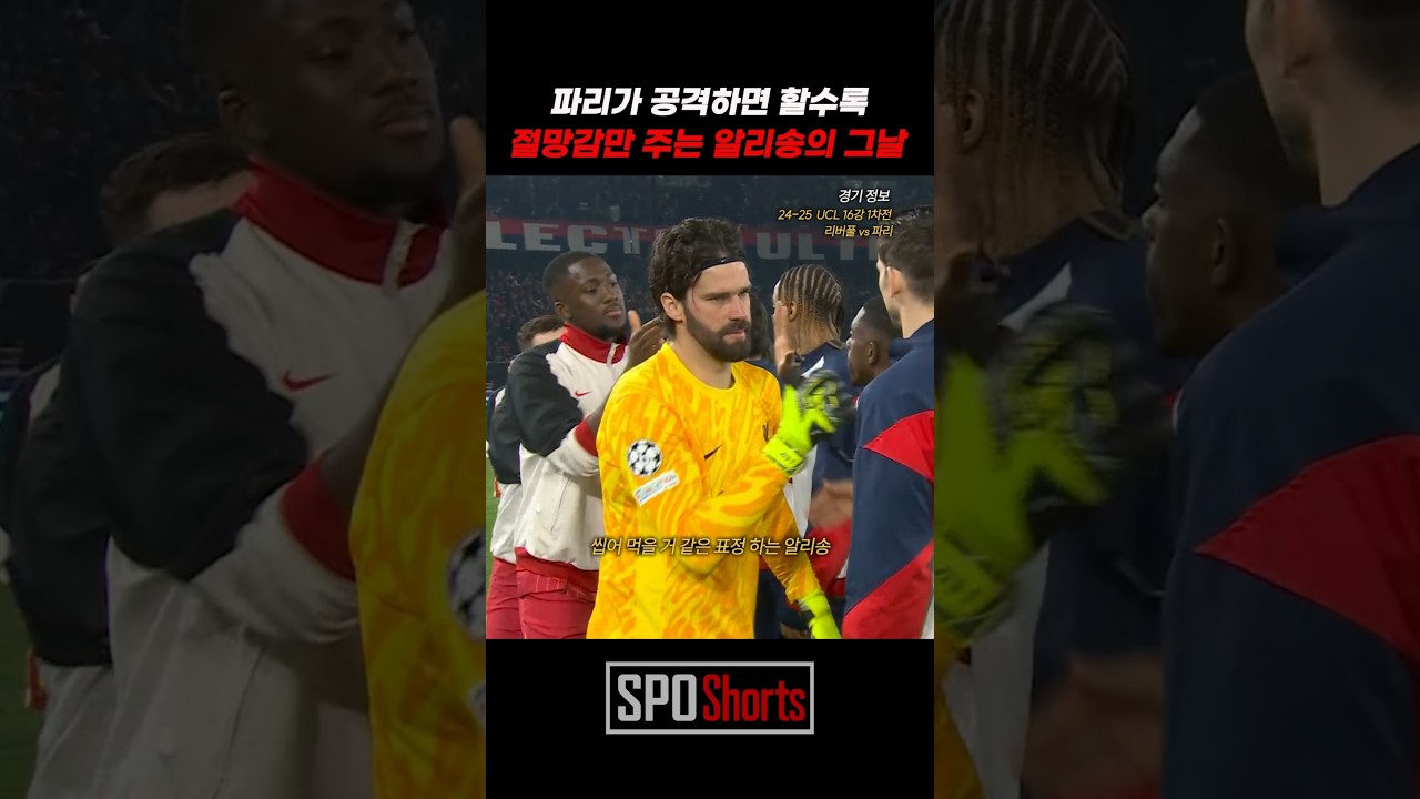 파리가 공격하면 할수록 절망감만 주는 알리송의 그날