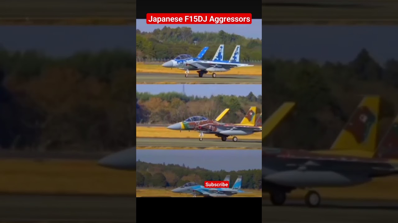 Japanese F15DJ Aggressors #japanese #f15 #aggressor #fighterjet #youtubeshorts