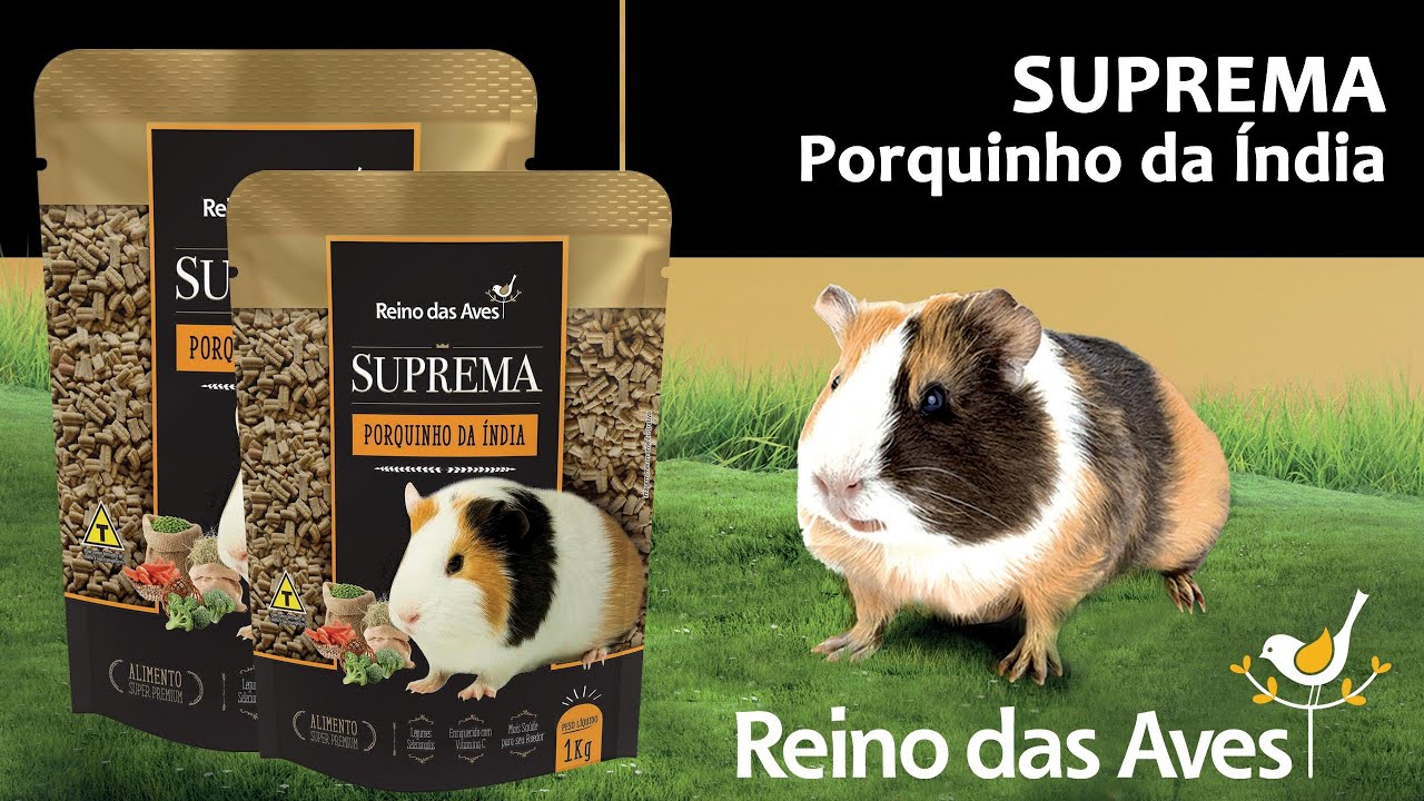 ALIMENTO PARA PORQUINHO DA ÍNDIA