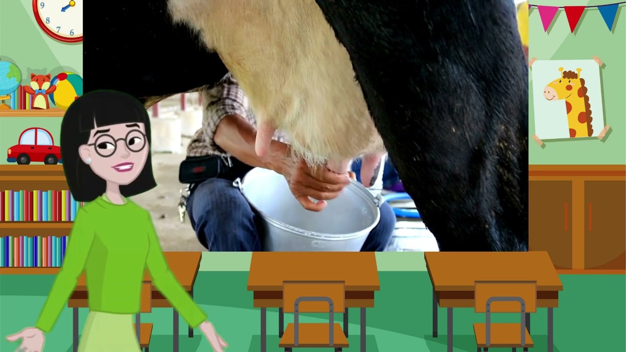 Let's Learn Animal Names #animals #animalsvideo #animalsvideo #names #kidseducation #learningisfun