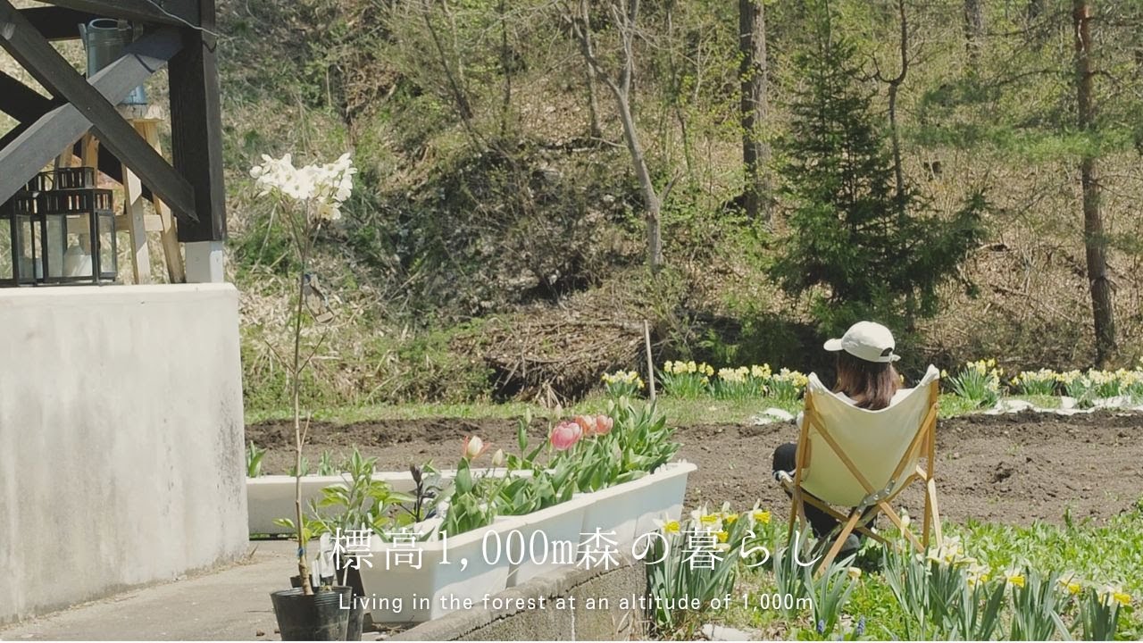 【長野の森暮らし🌳】私が移住した一番大きな理由🪽自然農法＆菌ちゃん農法で野菜づくり
