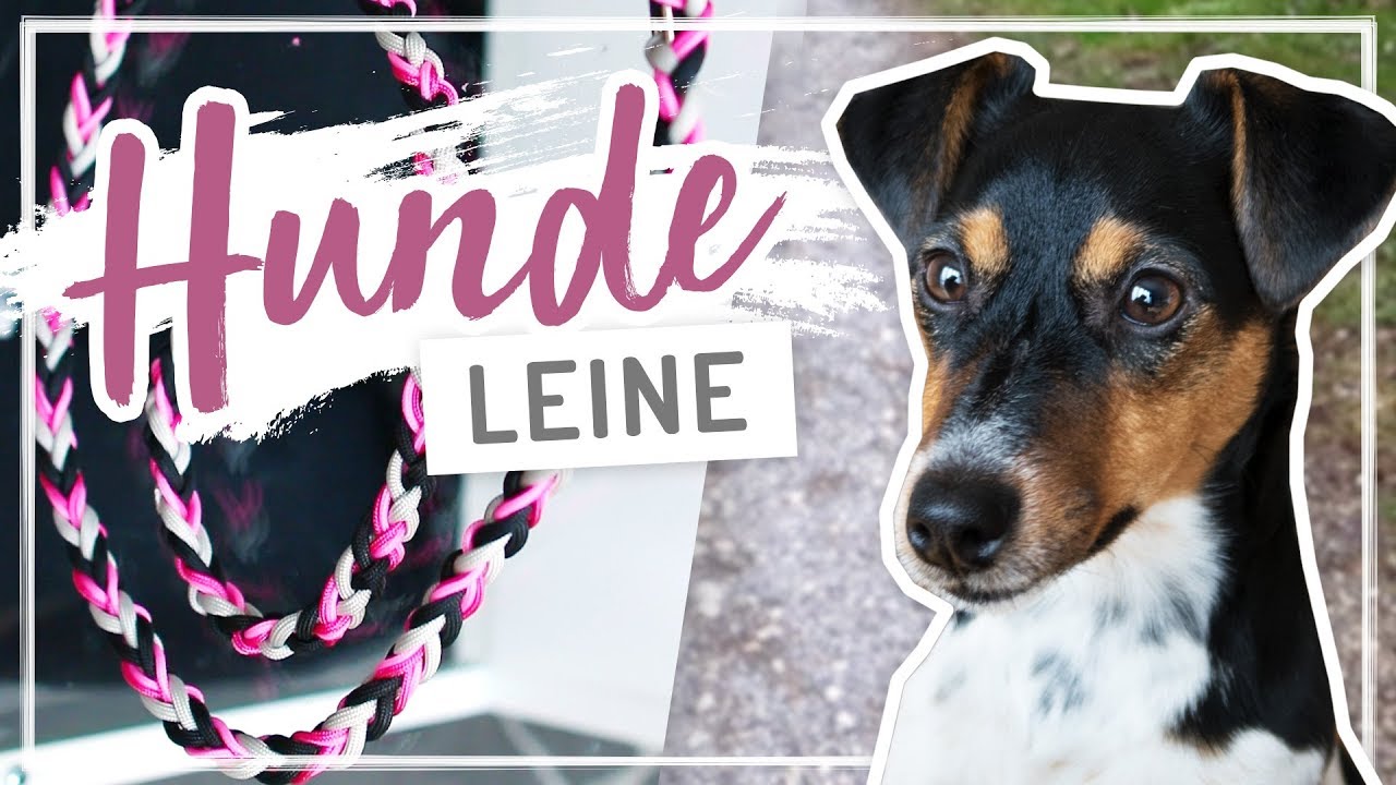DIY Hundeleine mit Paracord – #ALLTAGSINSELN #TypischSissi