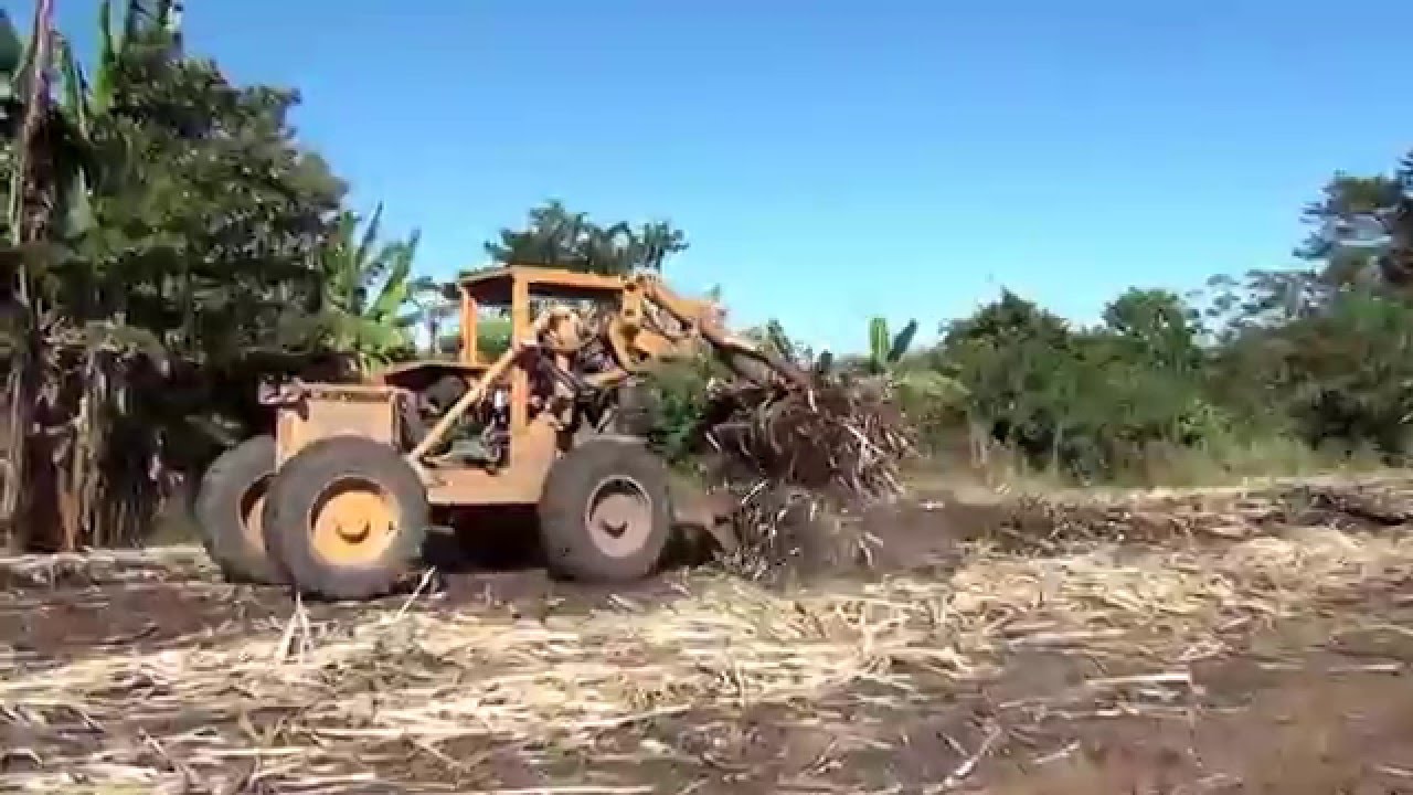 Caña de Azucar Zafra Fase de Recolección y Traslado