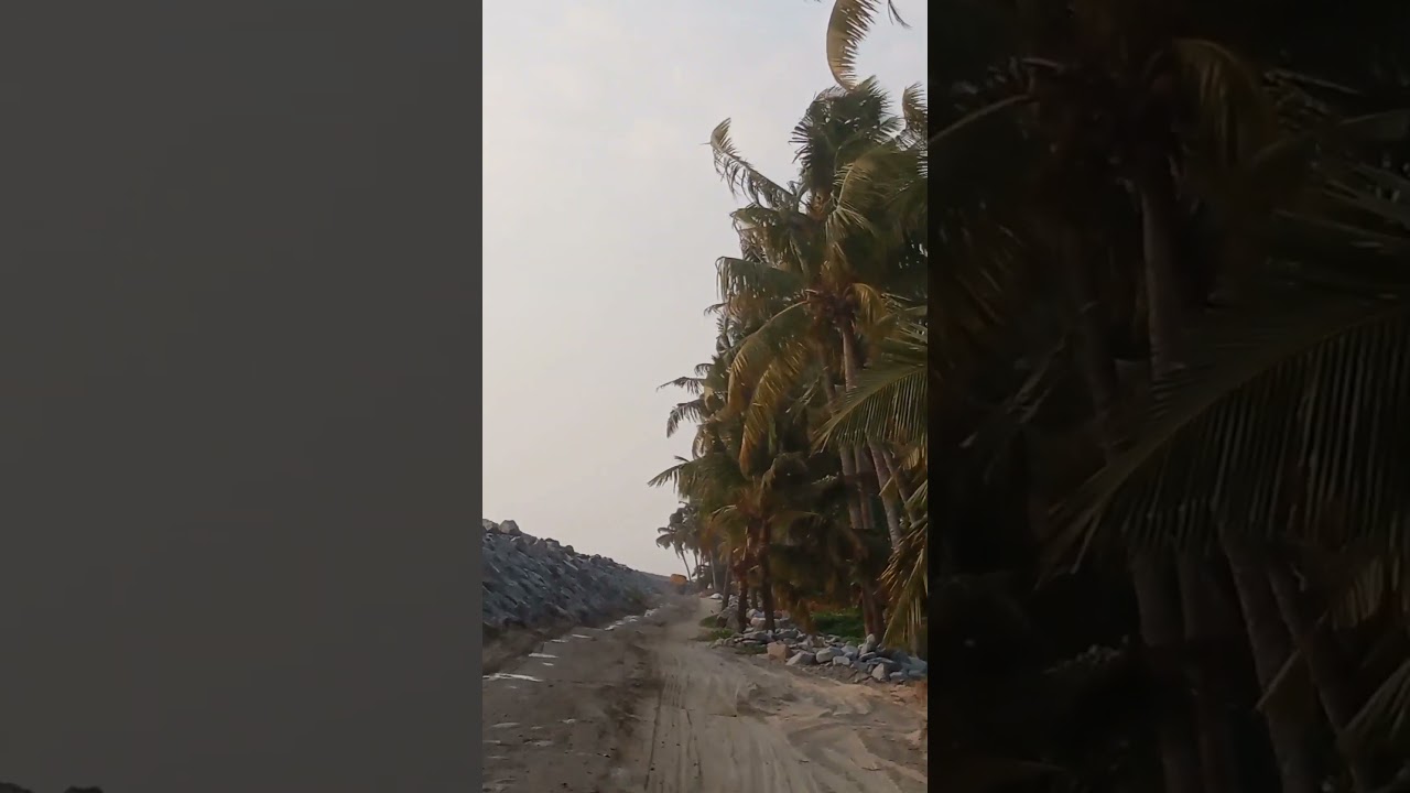 chellanam beach
