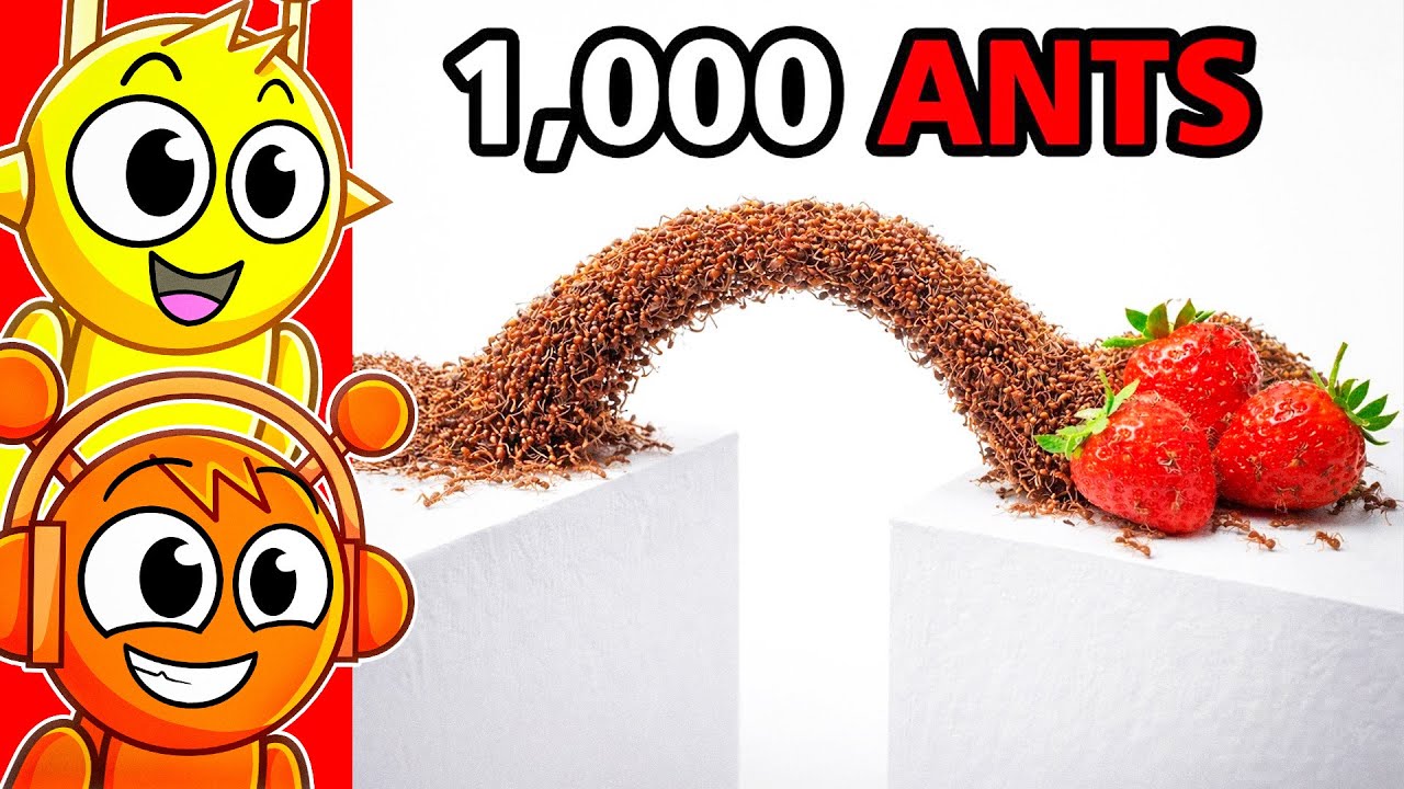 Ants vs Obstacles