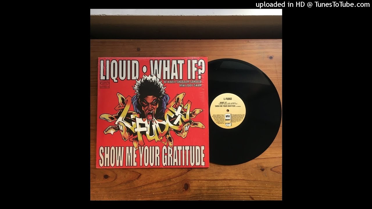 L-Fudge FT. Mike Zoot, Shabaam Sahdeeq, Skam2, Talib Kweli - What If? (DJ Spinna Instrumental)