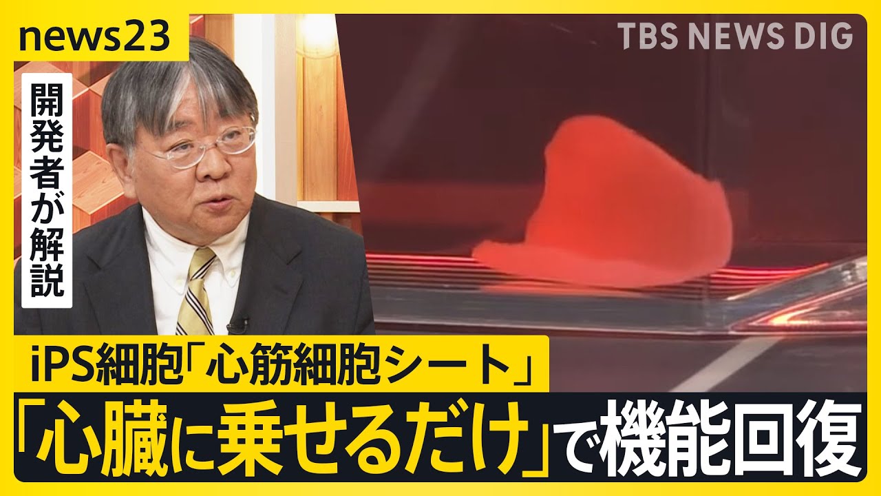 自らピクピクと…なぜ動く？“世界初”iPS細胞「心筋細胞シート」で心臓の機能回復　開発者がスタジオ解説「第一歩が踏み出せた」【news23】｜TBS NEWS DIG