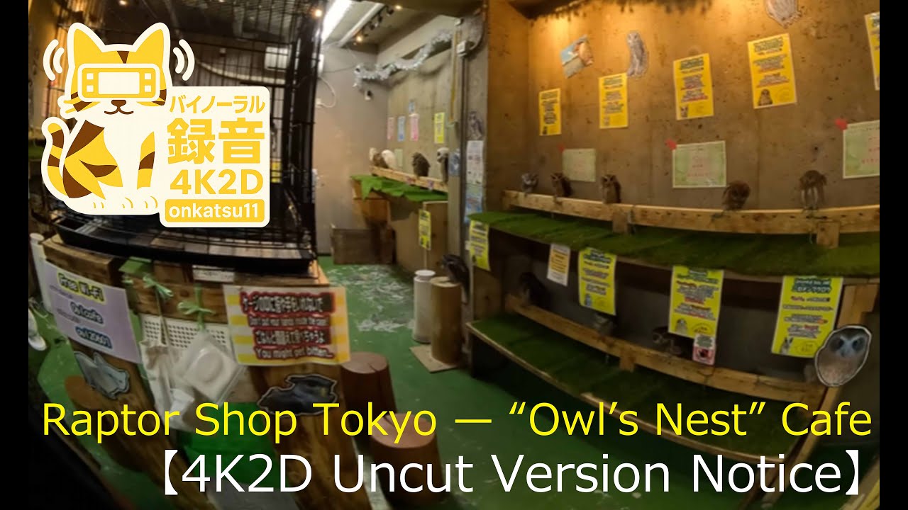🌟【Raptor Shop Tokyo — “Owl’s Nest” Cafe — 4K 2D Full-Length Notice】🌟
