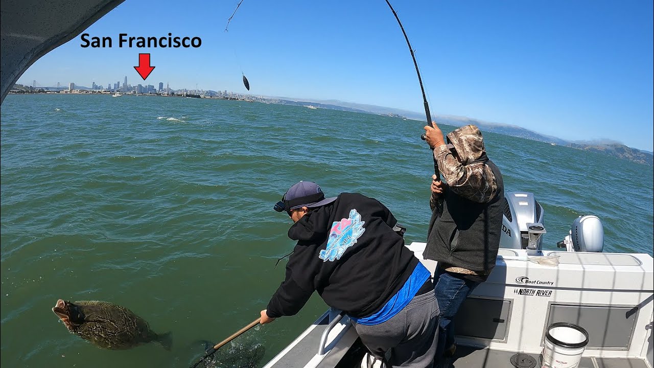 San Francisco Bay Live Bait Drifting for Halibut and Striped Bass