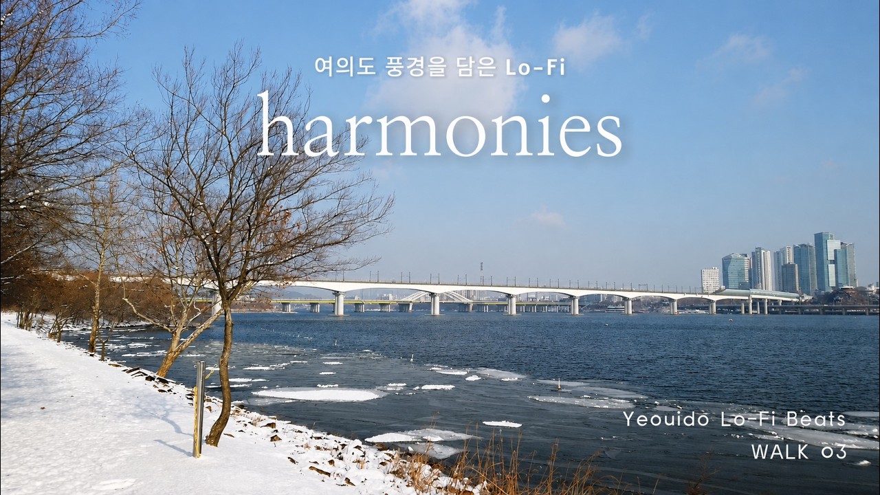 [Playlist] WALK03. 눈 쌓인 윤중로·한강시민공원 | Snowy Yunjung-ro & Hangang Park (60min Lo-fi)