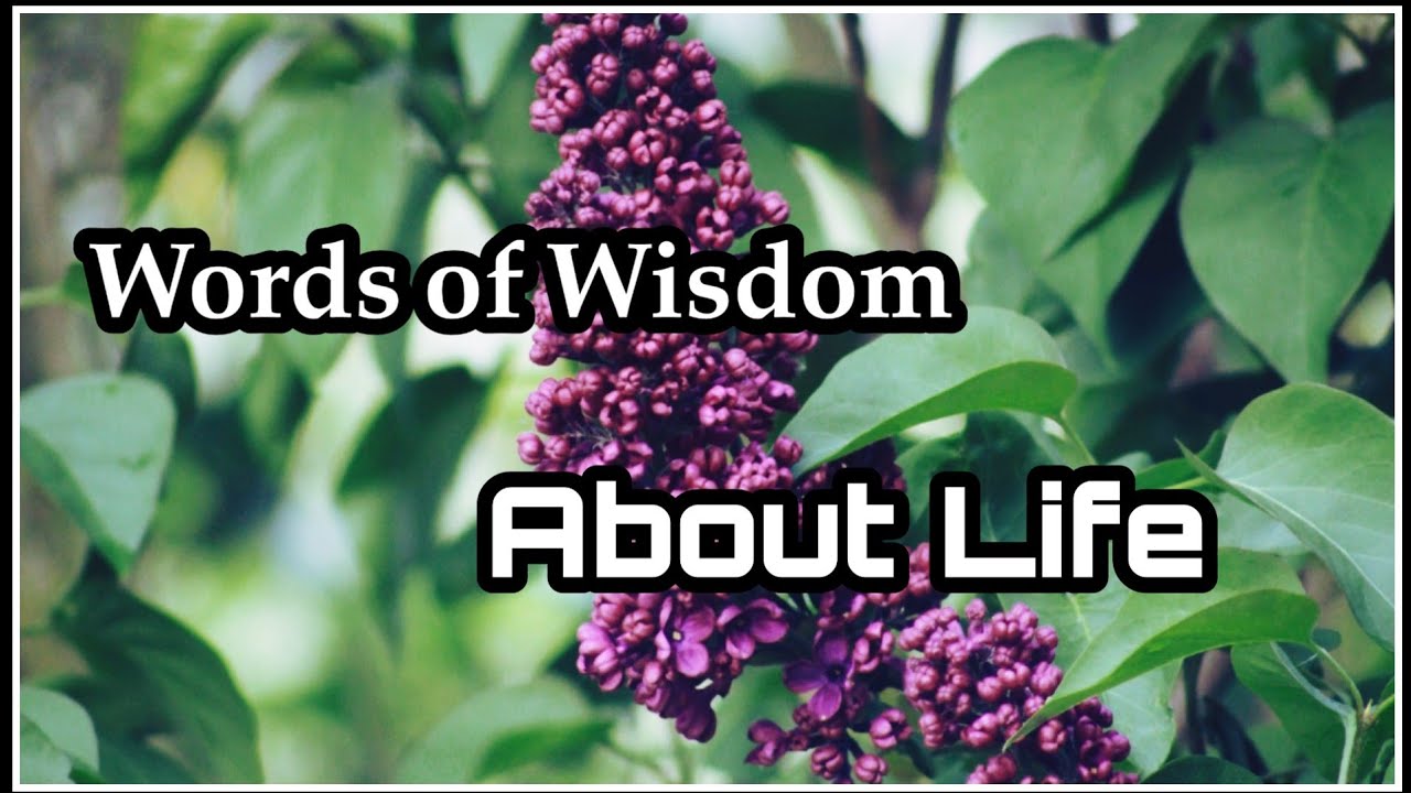 Words of Wisdom About Life