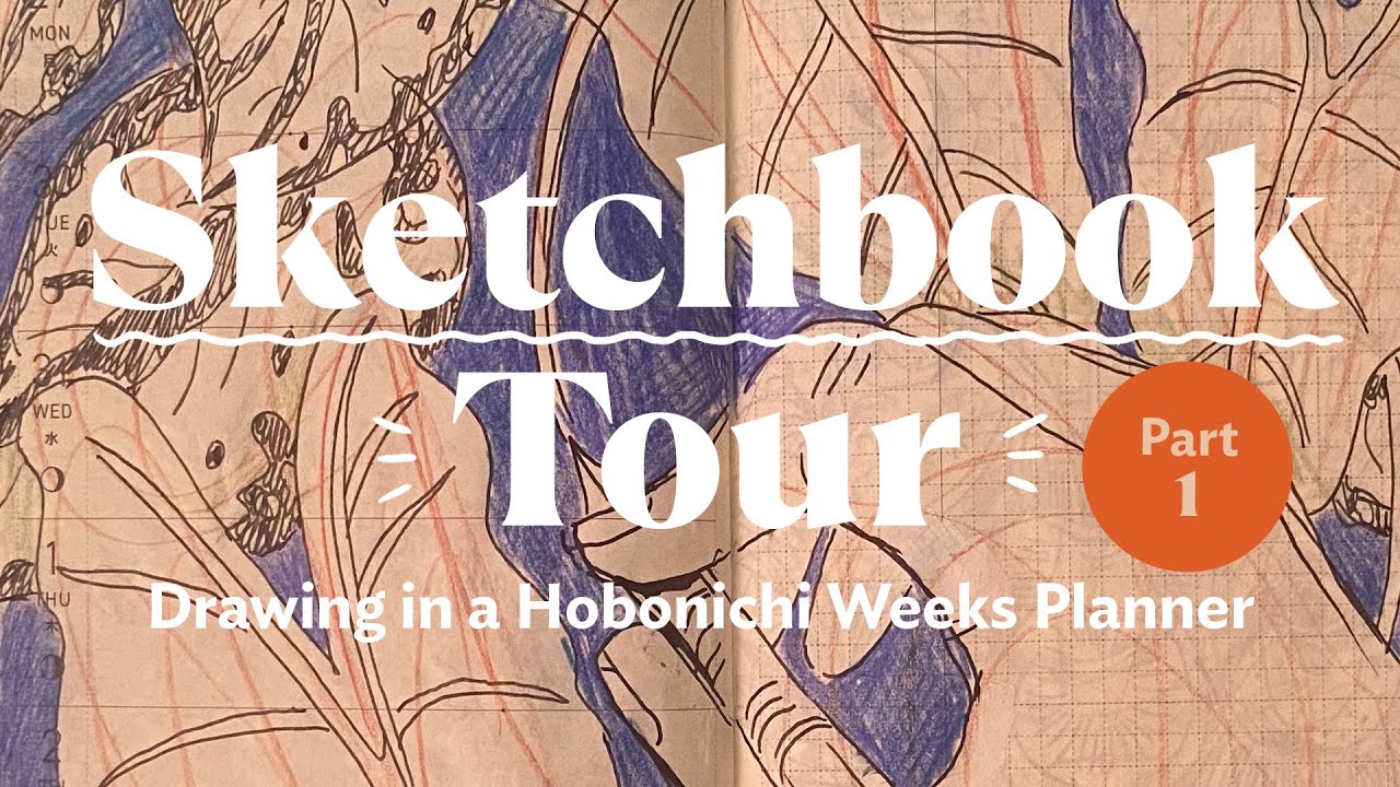 Sketchbook Tour: Drawing in a Hobonichi Weeks Planner (2024)