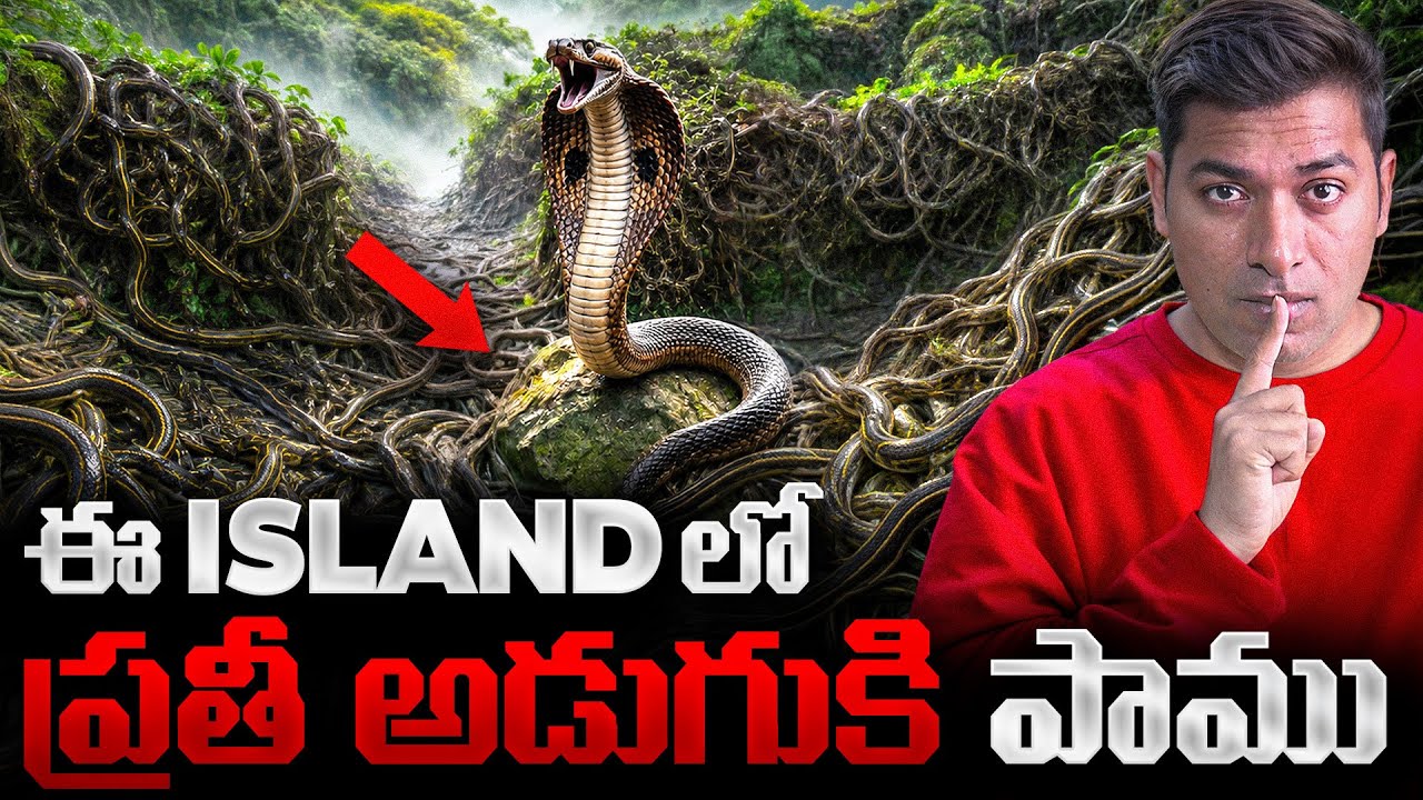 🚨MOST DANGEROUS Snakes Island | Secret History of Snake Island| Snake Evolution Explained | VR Raja