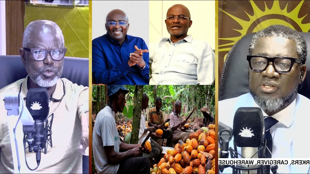 NPP is now the New Bawumia Party, N.B.P  UP's Joseph Amoah