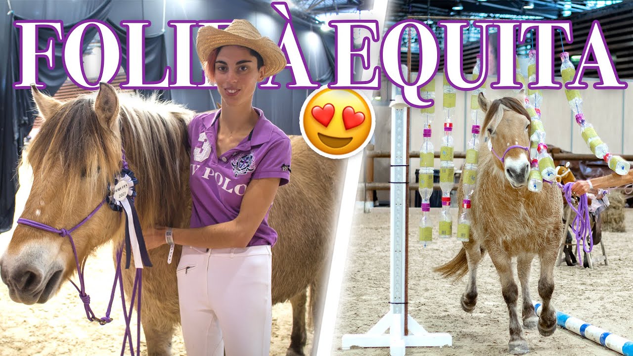 EQUITALYON AVEC MON PONEY - Concours d'equifeel !