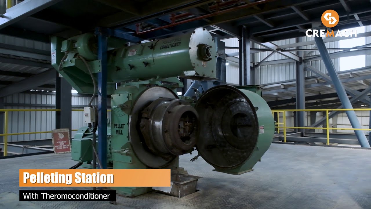 Shrimp Feed Plant | Aqua Feed Plant | Feed Mill Engineering & Manufacturing India