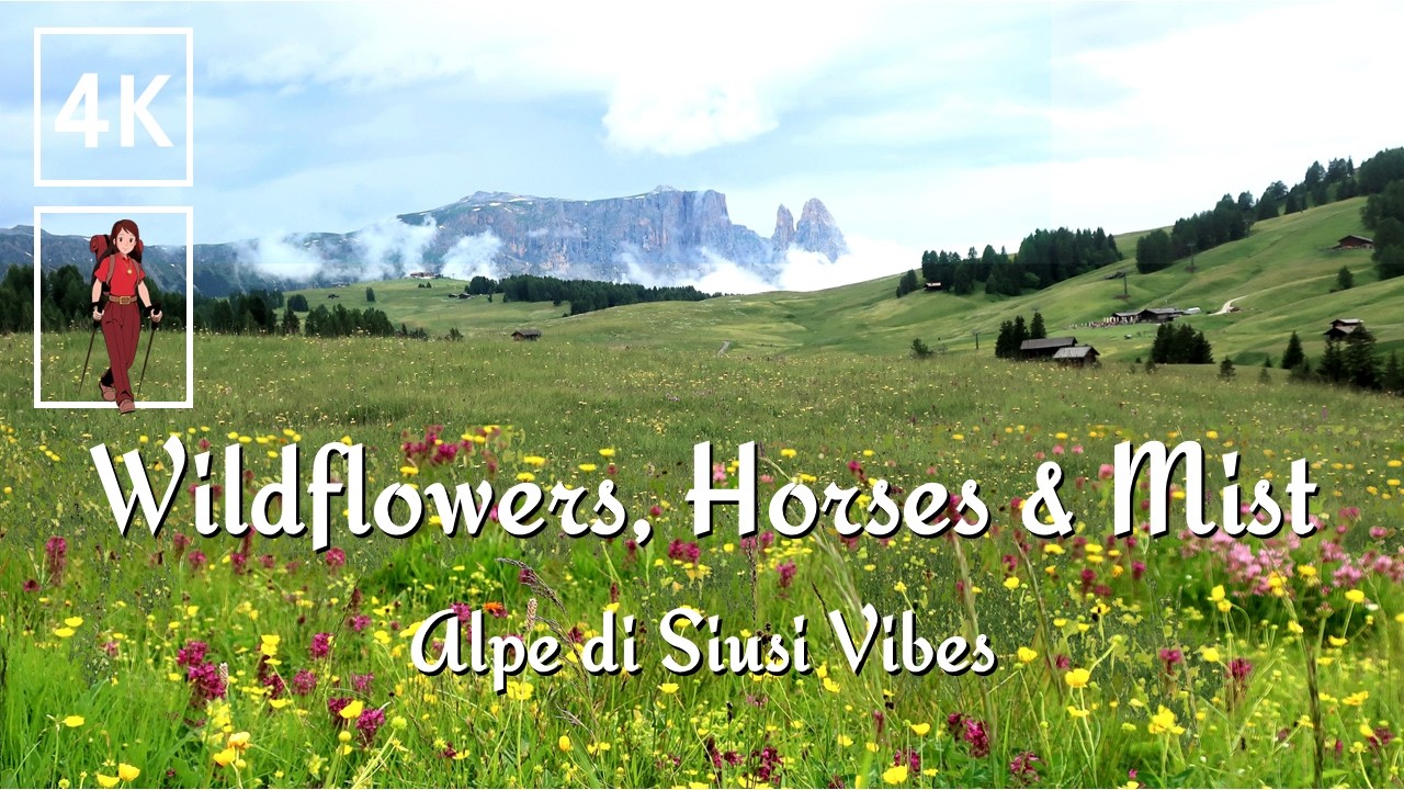 🇮🇹 Alpe di Siusi Rainy Day Hike to Saltria  Trail 9 Meadow Walk  Dolomites Vlog | 4K UHD