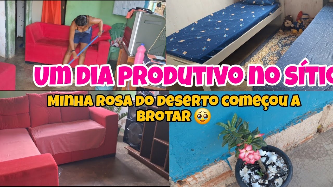 Rotina da manhã no sítio/ organização na casa