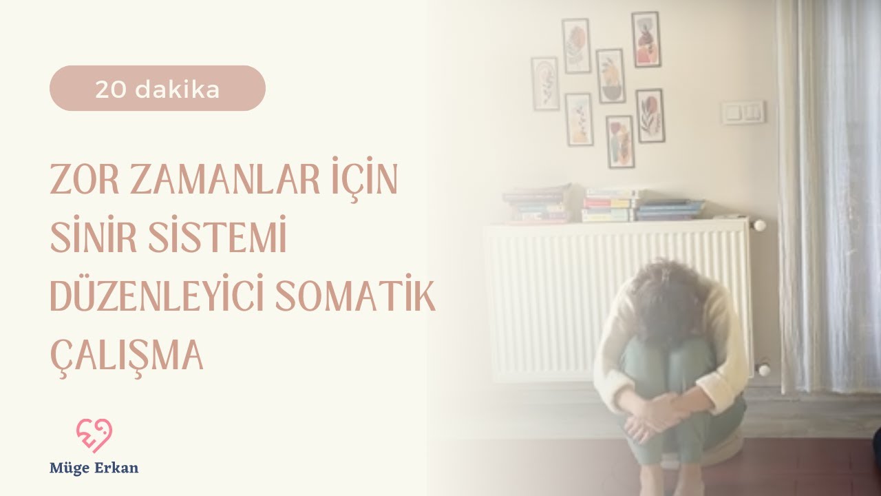 Zor Zamanlar için Sinir Sistemi Düzenleyici Somatik Çalışma
