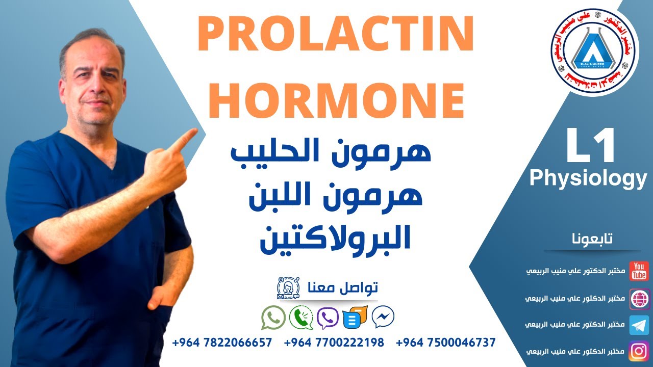 Prolactin Hormone Physiology  هرمون البرولاكتين هورمون الحليب او اللبن