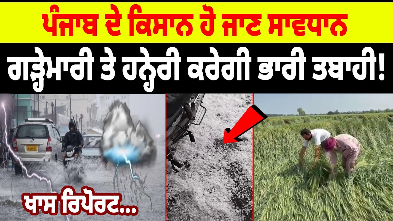 Today Rain Alert : ਪੰਜਾਬ ਦੇ ਕਿਸਾਨ ਹੋ ਜਾਣ ਸਾਵਧਾਨ, ਗੜ੍ਹੇਮਾਰੀ ਤੇ ਹਨ੍ਹੇਰੀ ਕਰੇਗੀ ਭਾਰੀ ਤਬਾਹੀ! ਖਾਸ ਰਿਪੋਰਟ..