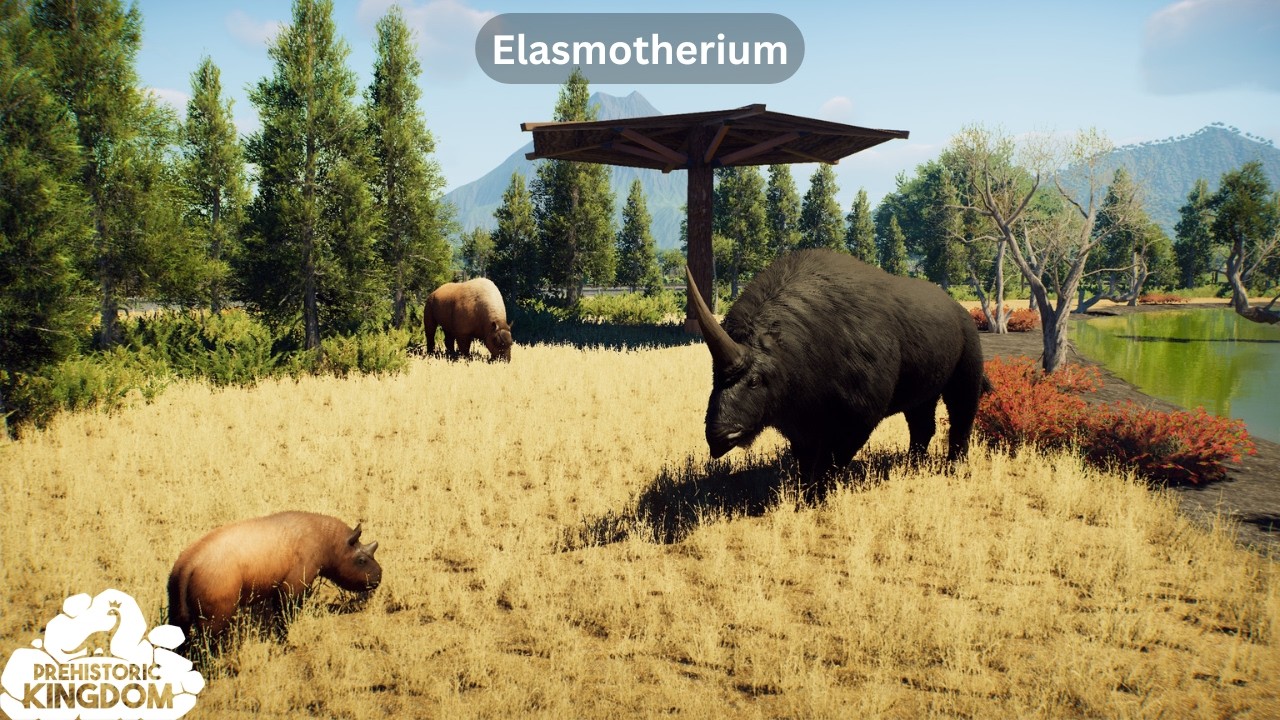 Elasmotherium | Prehistoric Kingdom
