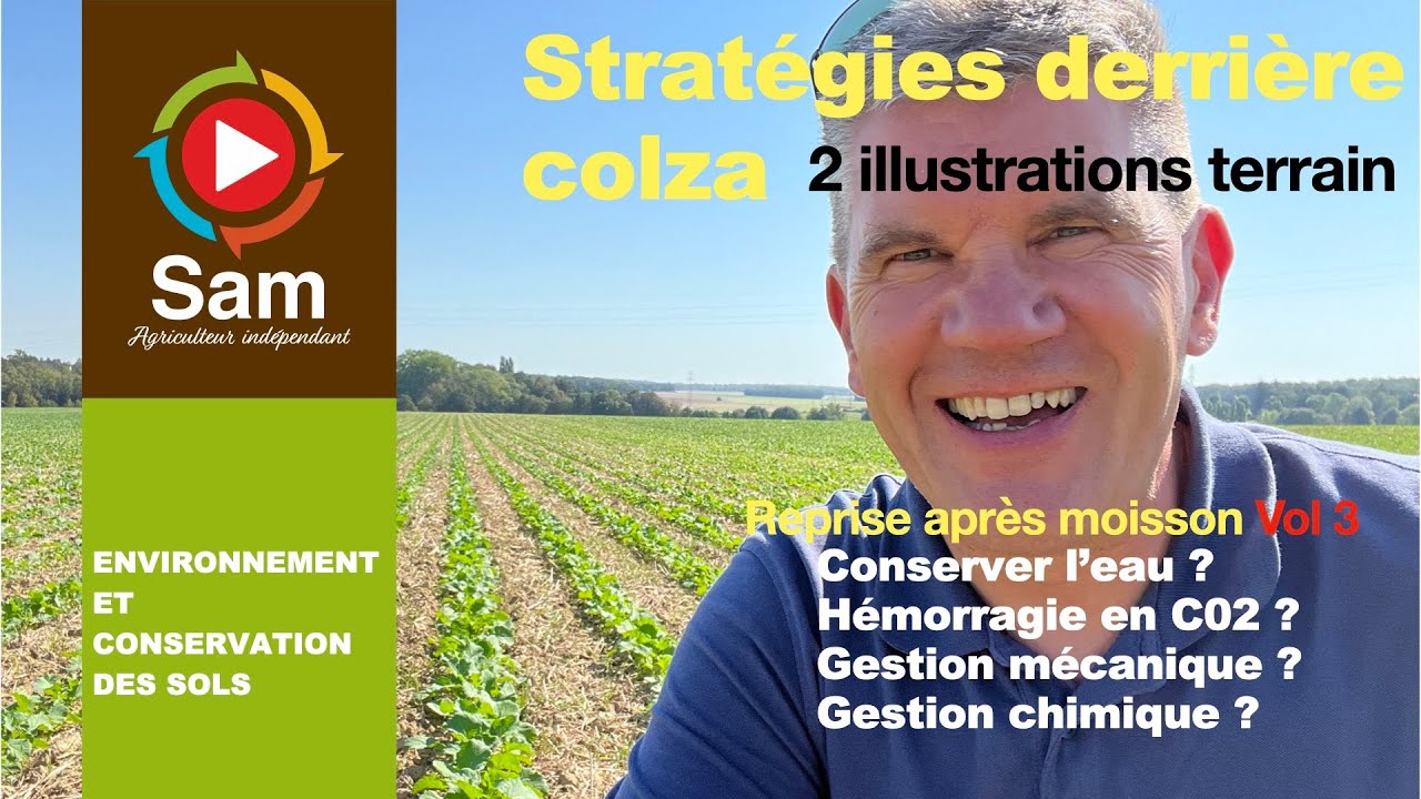 Strat&eacute;gies derri&egrave;re colza. Reprise apr&egrave;s moisson Vol 3. G&eacute;rer les repousses, l'eau, le C02...