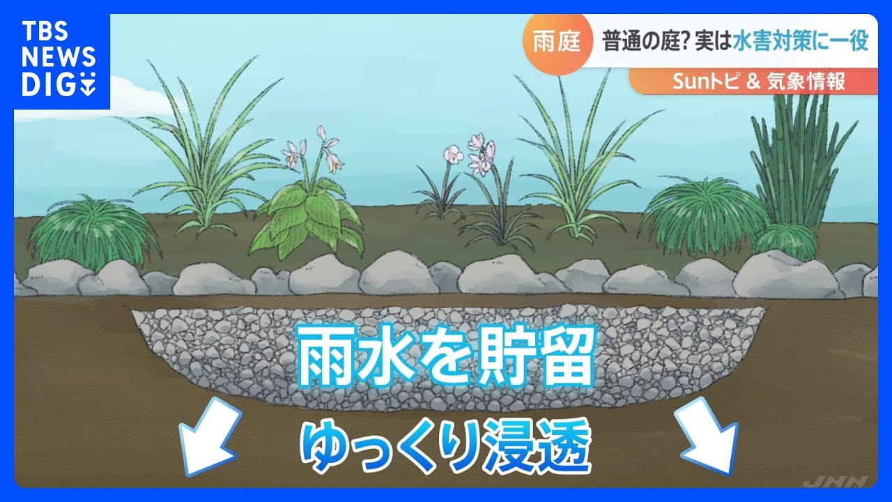 自宅でも簡単！水害対策に&ldquo;雨庭&rdquo;【SUNトピ】｜TBS&nbsp;NEWS&nbsp;DIG
