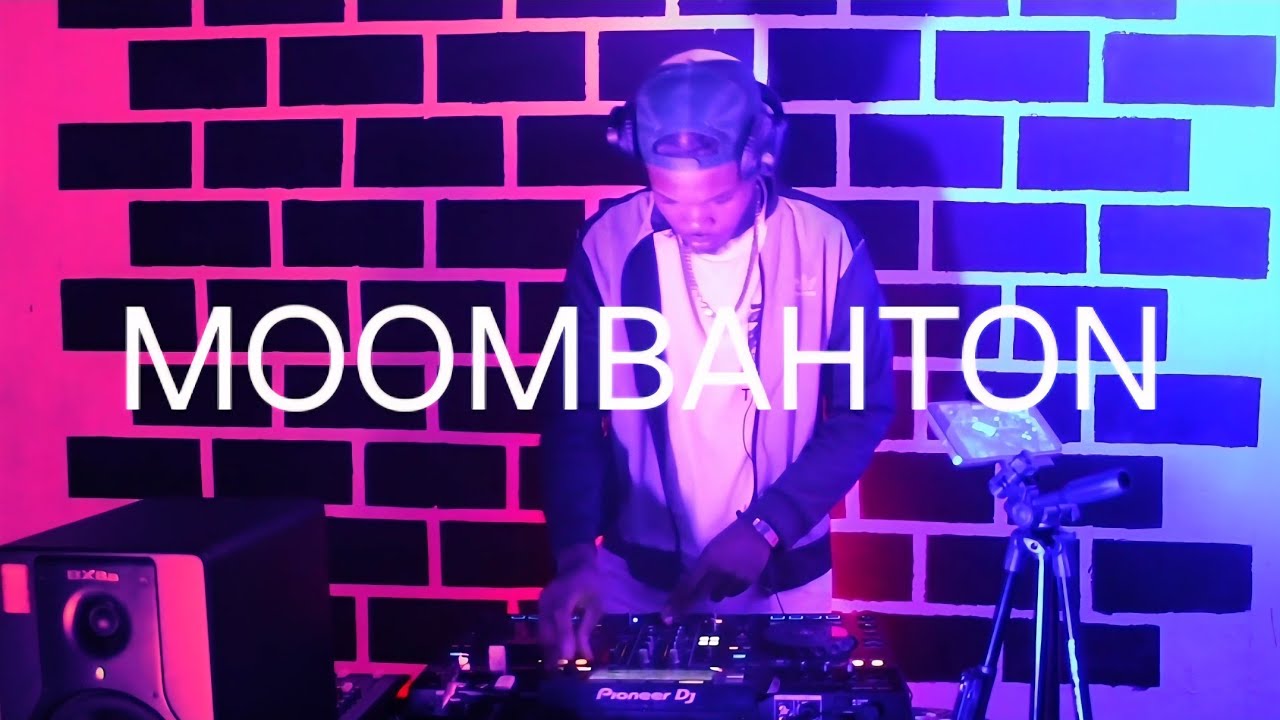 WILDMAN | Moombahton x Dancehall Shatta Mix 2025
