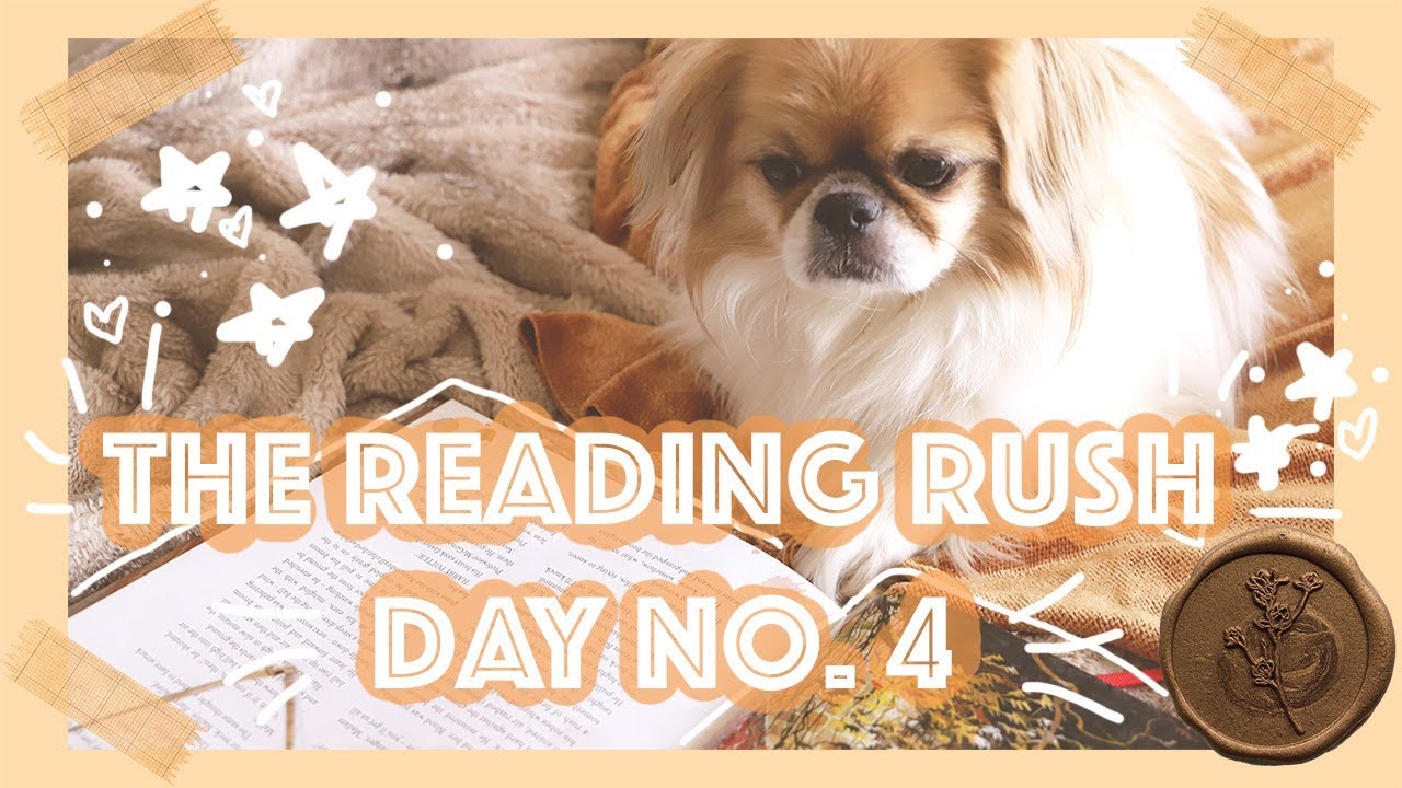 Reading Rush Day 4! | A Study Date :)