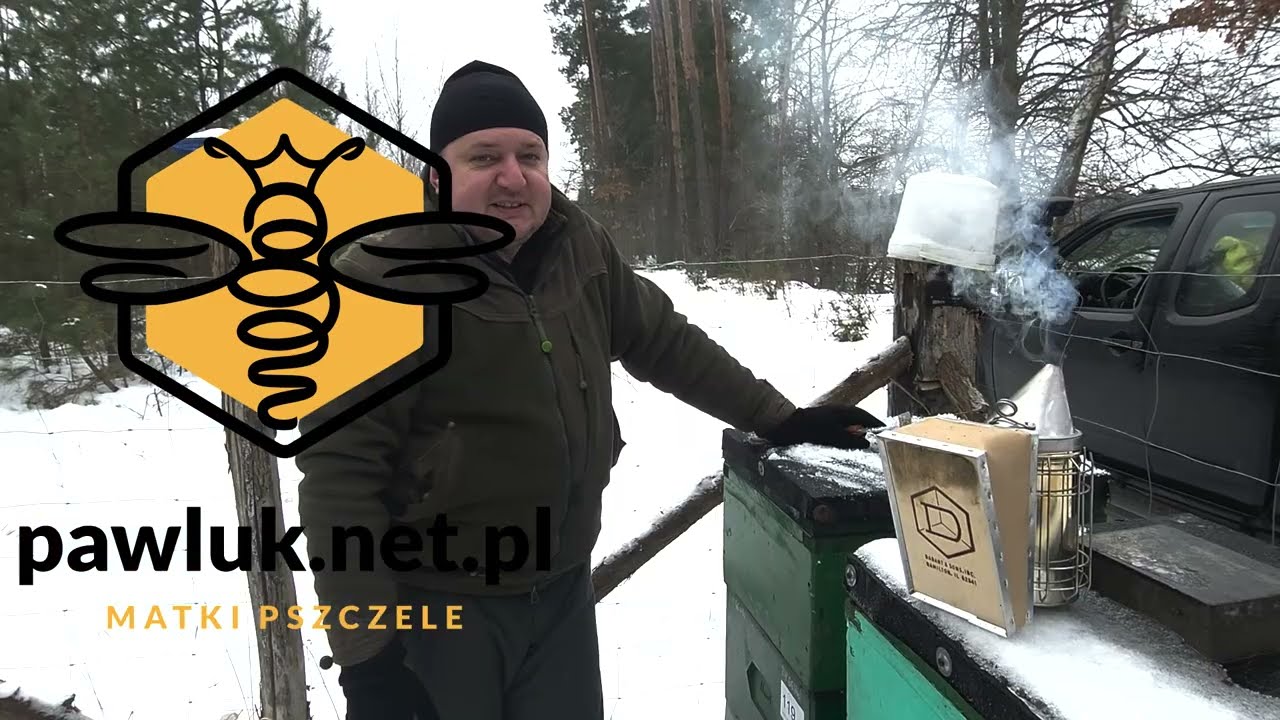 Katastrofa w pasiece! Tajemniczy napastnik zostawił tylko ruiny…