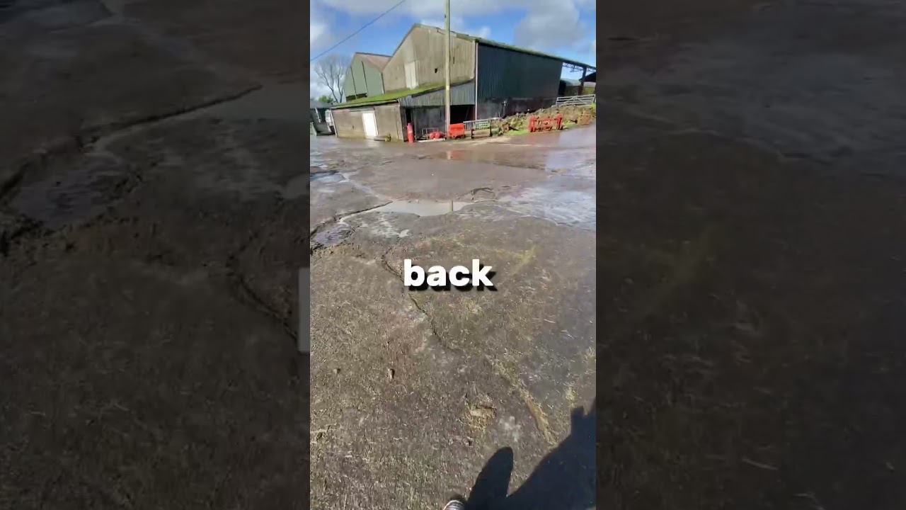 Never stops here in the UK #farming #farminguk #farmlifebestlife #cattlefarming