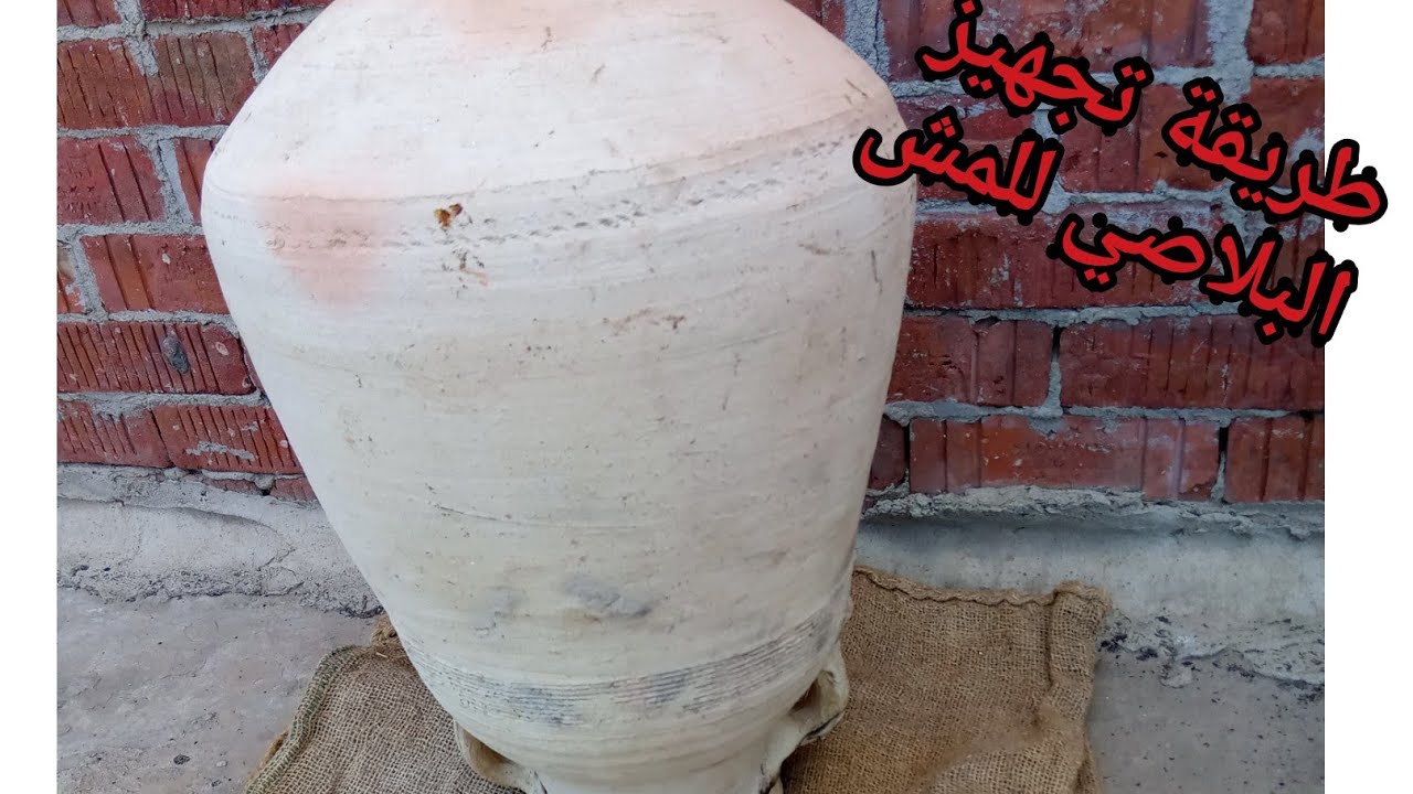 طريقة تجهيز البلاصي للمش الفلاحي