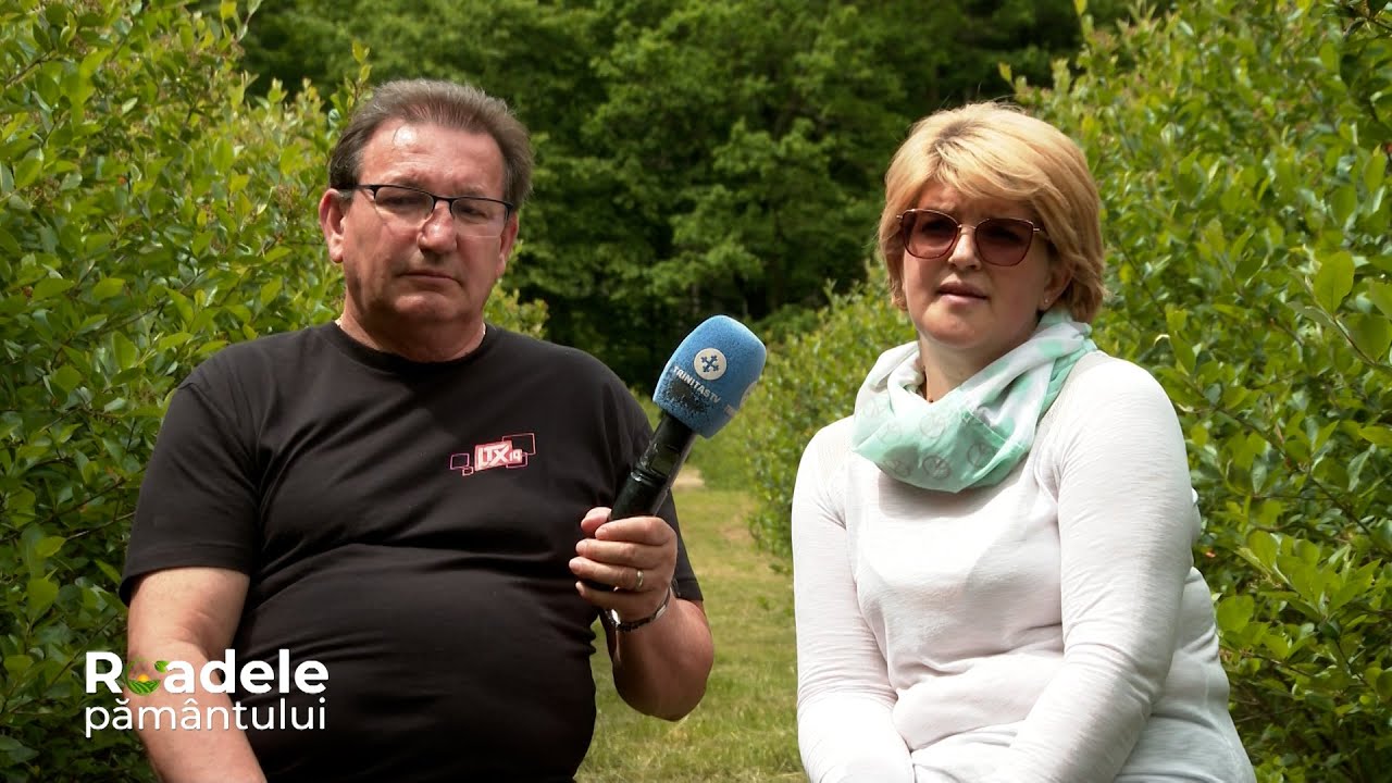 Plantația românească de aronia #roadelapamantului